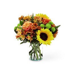 Autumn Splendor Bouquet from Victor Mathis Florist in Louisville, KY